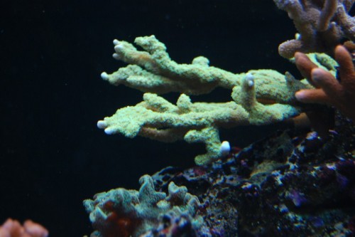 DSC_1022.jpg