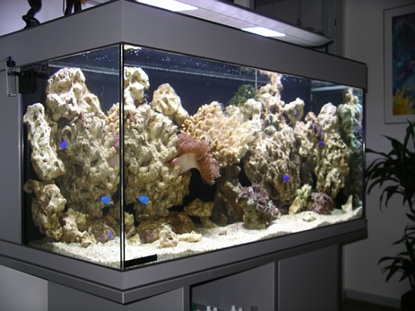 540 liters privat 9-11-06.jpg