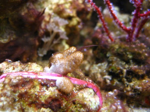 IMG_8580_resize.JPG