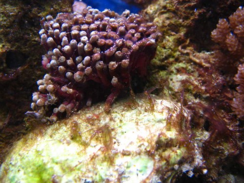 IMG_8581_resize.JPG