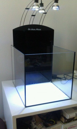 rps20110308_222623.jpg