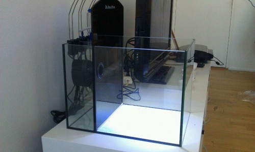 rps20110308_222707.jpg
