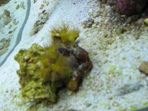 IMG_2256.JPG