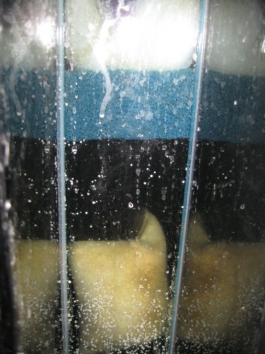 IMG_1306.JPG (177.67 KiB) Vist 1161 gange Fra oven og ned: Filtervat, Grov svamp, Aktivt kul og Fosfat-fjerner