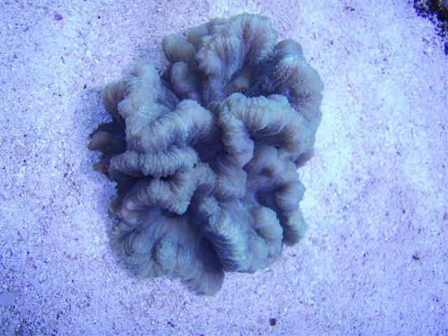 PB122707 (Small).JPG