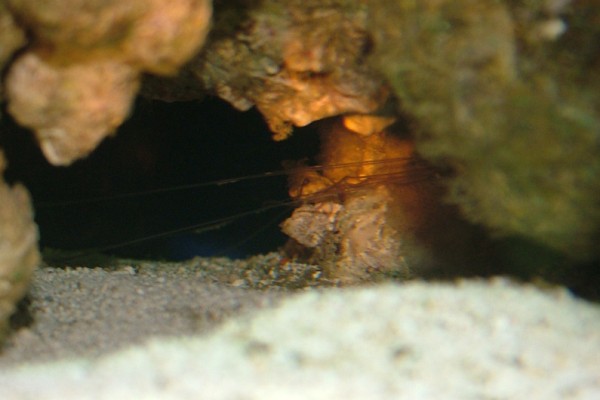 No 4 (600 x 400).jpg