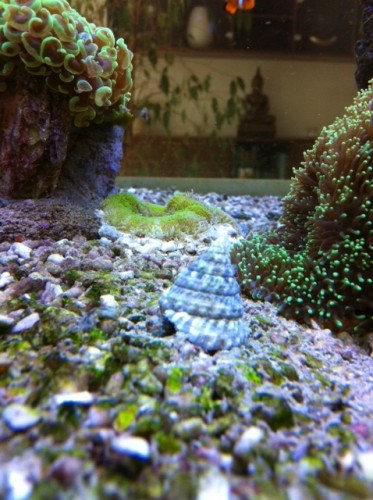 foto7.JPG