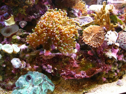 IMG_9411 (Medium).JPG