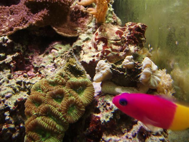 PB162859 (Small).JPG