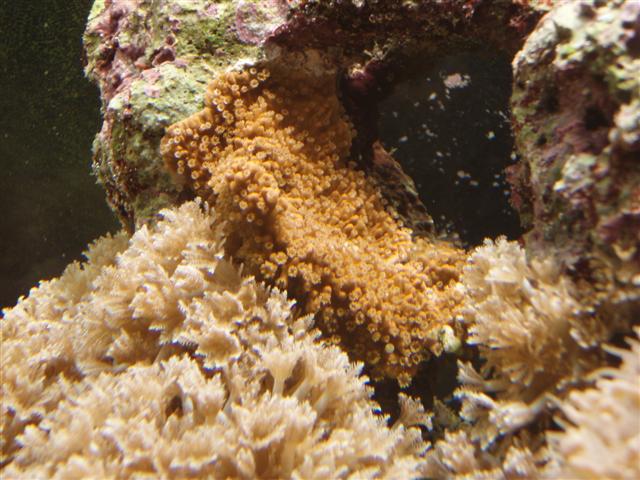 PB162857 (Small).JPG