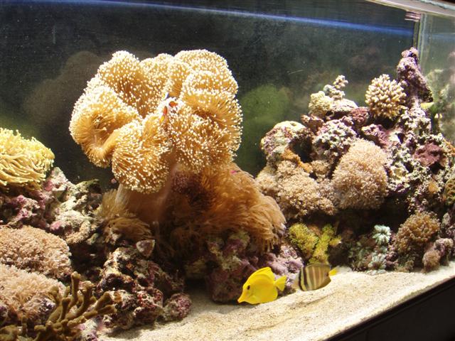 PB162847 (Small).JPG