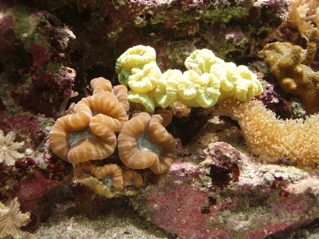 PB162840 (Small).JPG