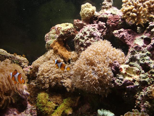 PB162832 (Small).JPG