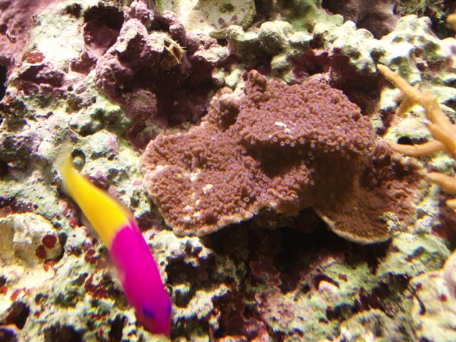 PB162827 (Small).JPG
