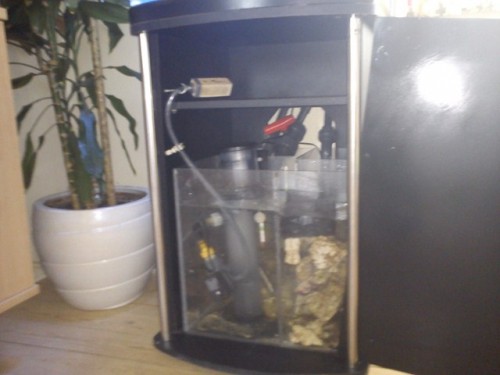 DSC00105 [640x480].jpg