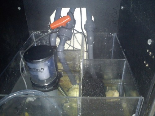 DSC00098 [640x480].jpg