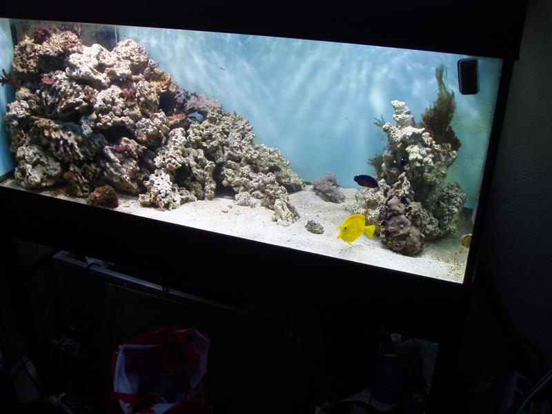 PB180026 (Medium).JPG