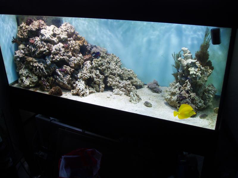 PB180025 (Medium).JPG