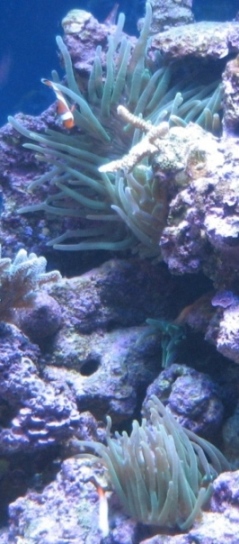 IMG_3212.JPG