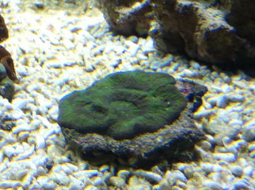 IMG_0198.jpg