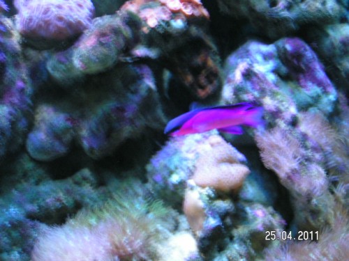 PICT3711.JPG