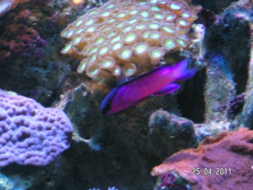 PICT3714.JPG