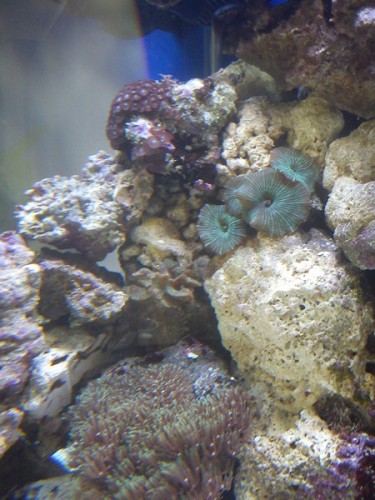 DSC00222 [800x600].jpg