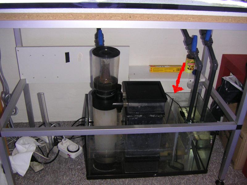 PICT0080.JPG