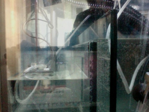 Foto den 07-05-2011 kl. 16.05.jpg