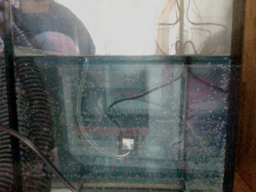 Foto den 07-05-2011 kl. 16.04.jpg