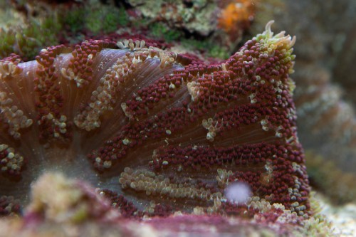 Stines balje (129 of 180).jpg