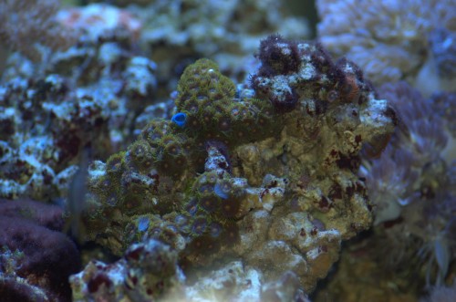 DSC_0186.jpg
