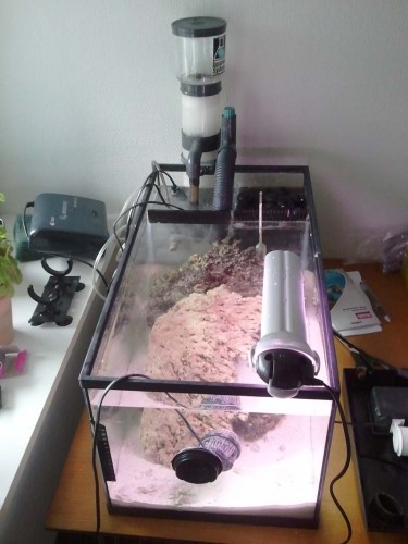 2011-05-16 16.05.37.jpg