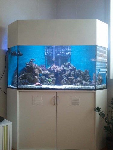 2011-05-21 16.34.56.jpg