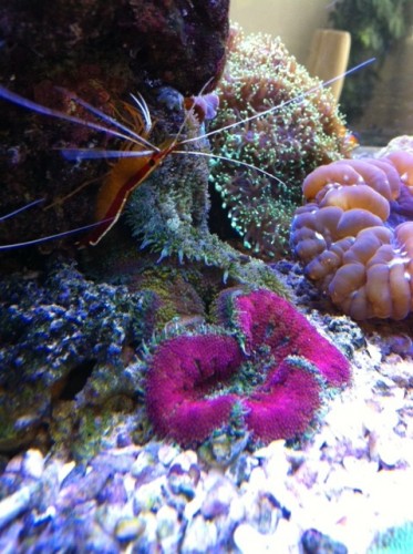 foto6.JPG