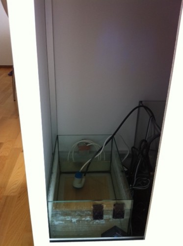 foto2.JPG