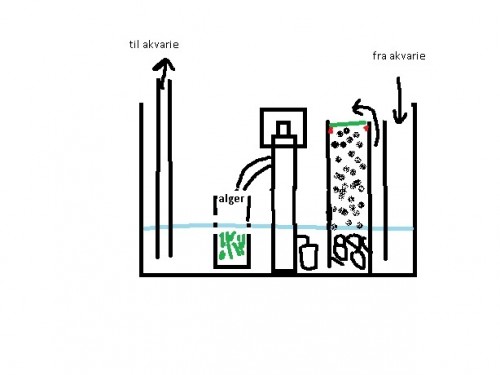 sumpen.jpg (34.36 KiB) Vist 3783 gange min sump med risle filter