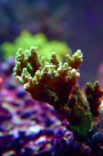 erik-500l-2010-154.jpg
