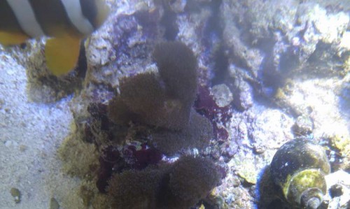 IMAG0354.jpg