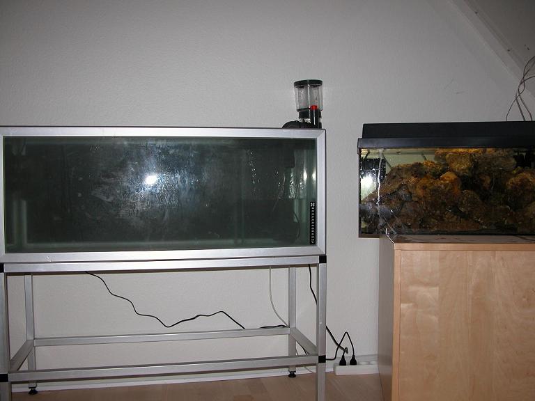 Akvariet har kørt med den tilsatte salt i et par timer..