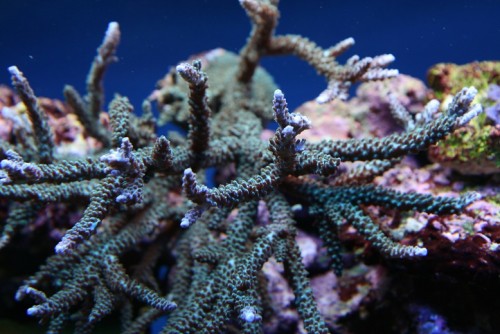 IMG_5181.JPG