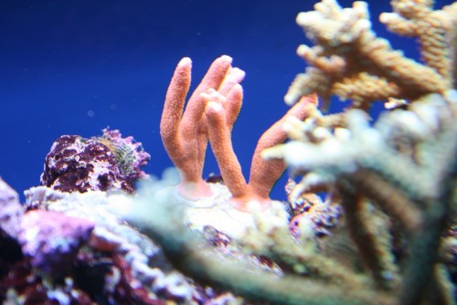 IMG_5201.JPG