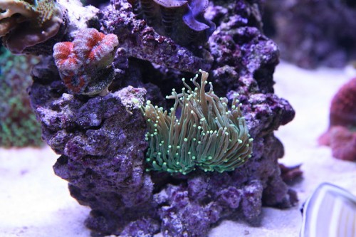 IMG_5326.JPG