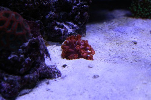 IMG_5330.JPG