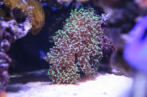 IMG_5348.JPG