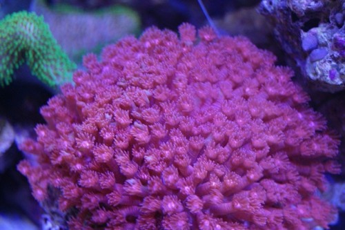 DSC_0013.JPG