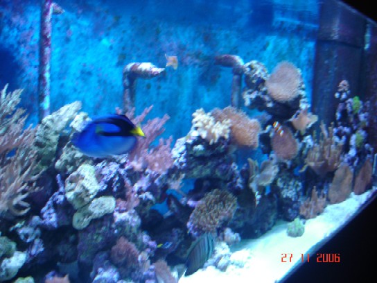 DSC00295.JPG