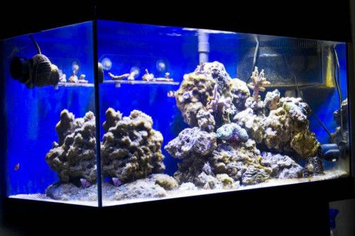 FTS