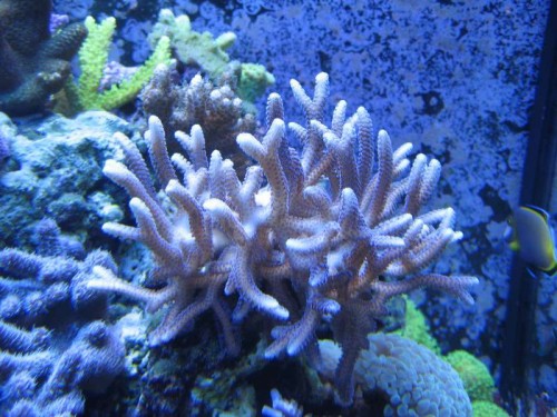 IMG_5984.JPG