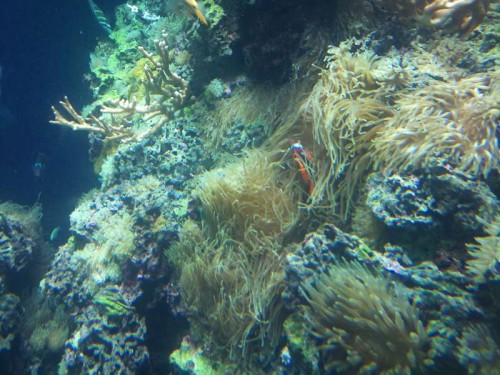 DSC_1373.jpg